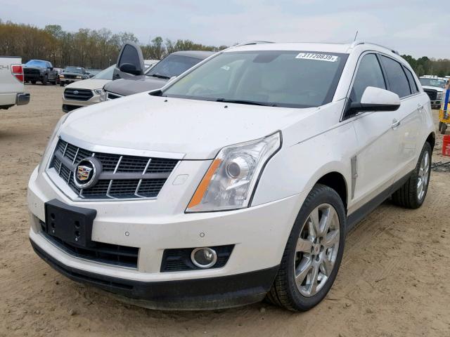 Photo 1 VIN: 3GYFNBEY9BS542810 - CADILLAC SRX PERFOR 