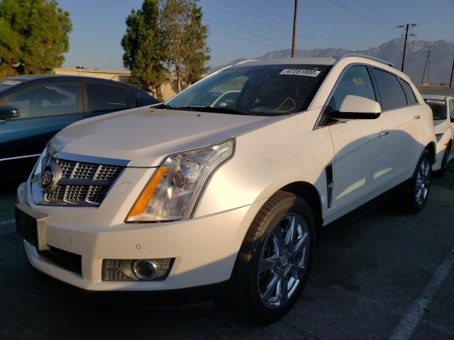 Photo 1 VIN: 3GYFNBEY9BS555816 - CADILLAC SRX PERFOR 