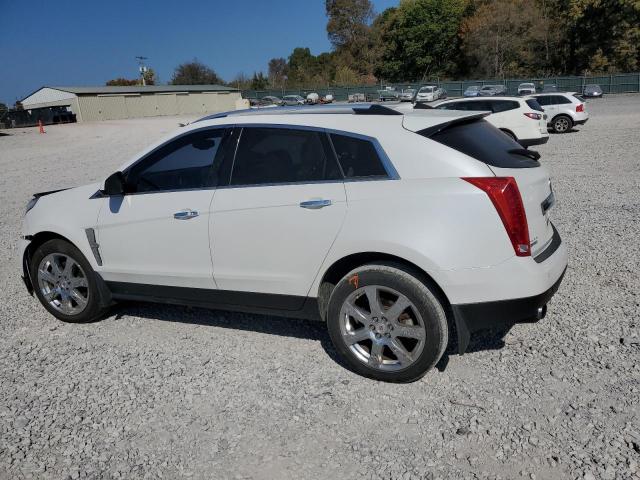 Photo 1 VIN: 3GYFNBEYXBS516927 - CADILLAC SRX PERFOR 