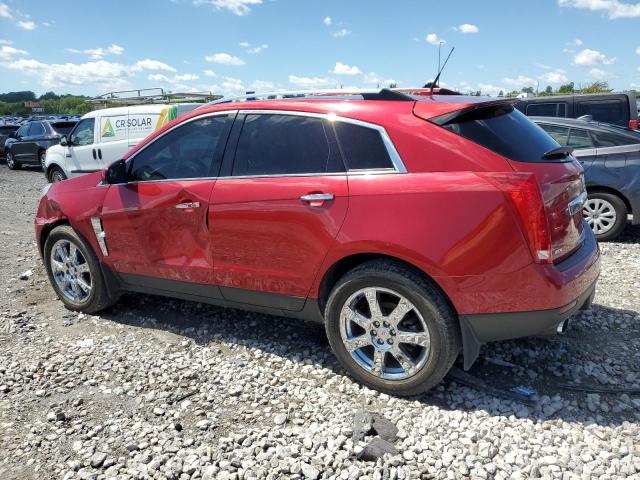 Photo 1 VIN: 3GYFNBEYXBS566212 - CADILLAC SRX 