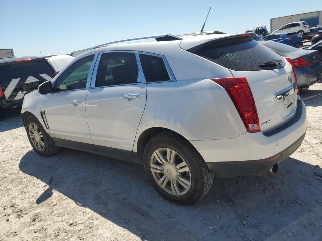 Photo 1 VIN: 3GYFNCE31DS535444 - CADILLAC SRX 