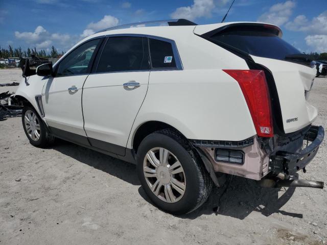 Photo 1 VIN: 3GYFNCE31DS562417 - CADILLAC SRX LUXURY 