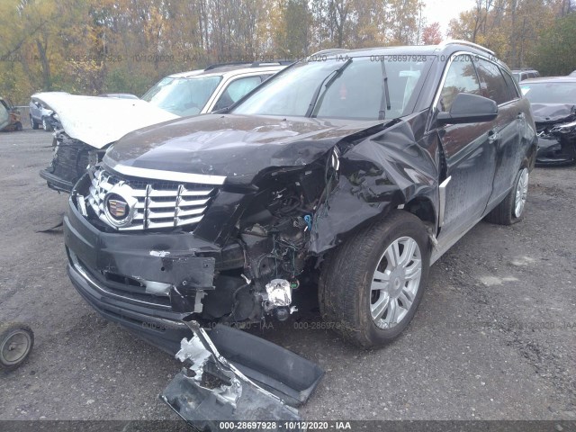 Photo 1 VIN: 3GYFNCE31DS623135 - CADILLAC SRX 