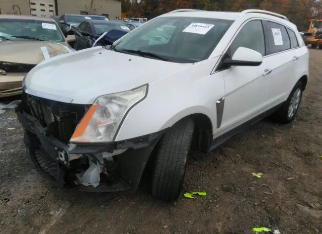 Photo 1 VIN: 3GYFNCE32DS551149 - CADILLAC SRX 