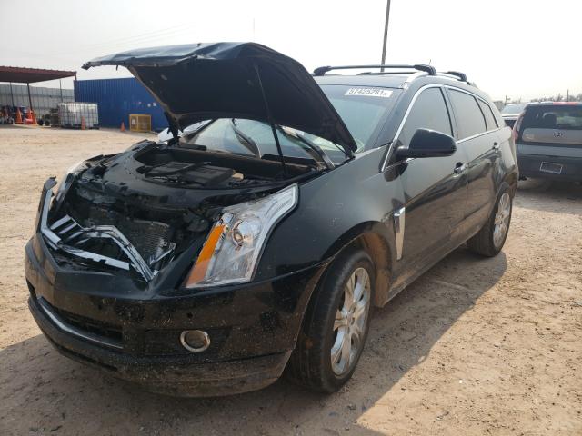 Photo 1 VIN: 3GYFNCE32ES662446 - CADILLAC SRX PERFOR 