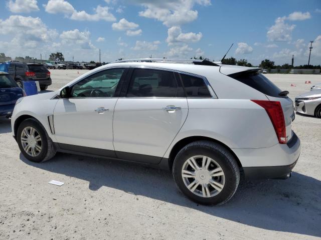 Photo 1 VIN: 3GYFNCE33DS519472 - CADILLAC SRX 