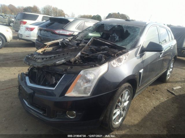 Photo 1 VIN: 3GYFNCE34ES641730 - CADILLAC SRX 