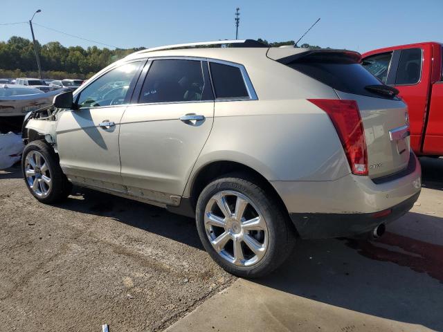 Photo 1 VIN: 3GYFNCE34GS552453 - CADILLAC SRX 