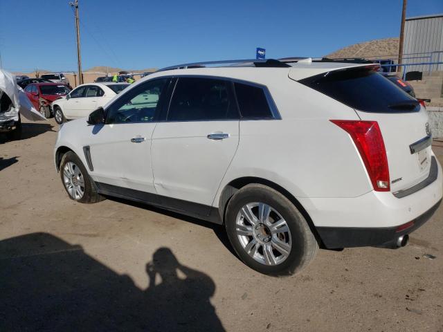 Photo 1 VIN: 3GYFNCE35DS533485 - CADILLAC SRX 