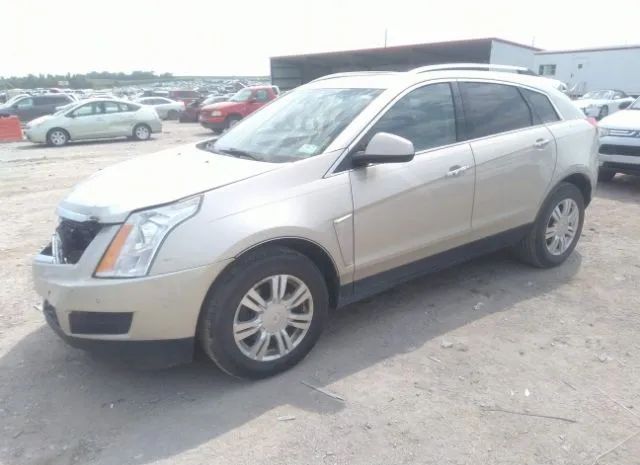 Photo 1 VIN: 3GYFNCE35DS646076 - CADILLAC SRX 