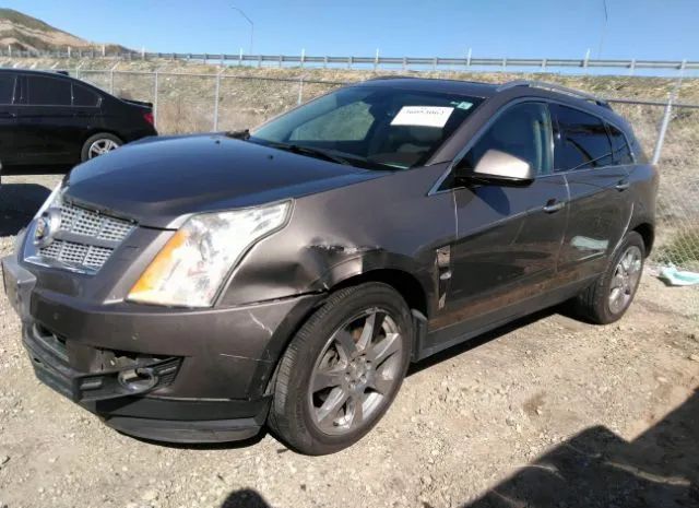 Photo 1 VIN: 3GYFNCE36CS570110 - CADILLAC SRX 