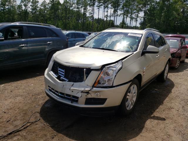 Photo 1 VIN: 3GYFNCE38DS640806 - CADILLAC SRX LUXURY 