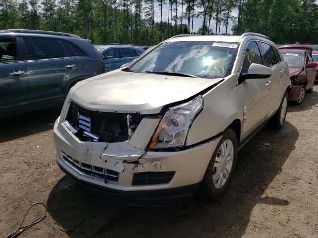 Photo 8 VIN: 3GYFNCE38DS640806 - CADILLAC SRX LUXURY 