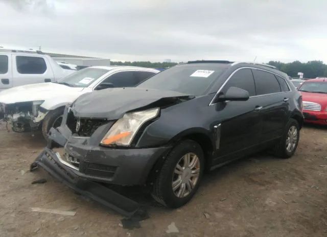 Photo 1 VIN: 3GYFNCE39DS533098 - CADILLAC SRX 