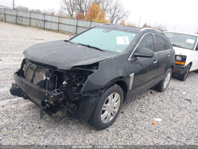 Photo 1 VIN: 3GYFNCE39DS653029 - CADILLAC SRX 