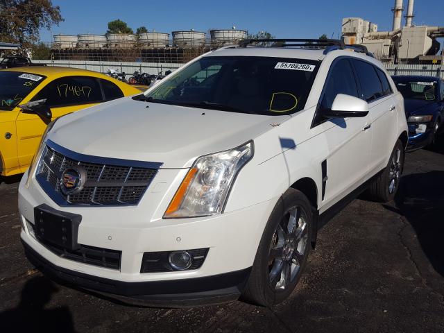 Photo 1 VIN: 3GYFNCEY6BS551230 - CADILLAC SRX 