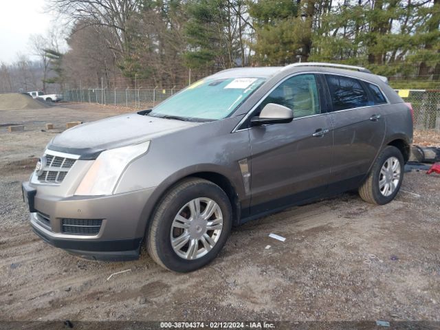 Photo 1 VIN: 3GYFNDE30CS504139 - CADILLAC SRX 