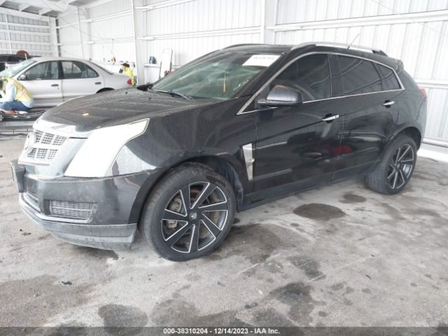 Photo 1 VIN: 3GYFNDE30CS561666 - CADILLAC SRX 