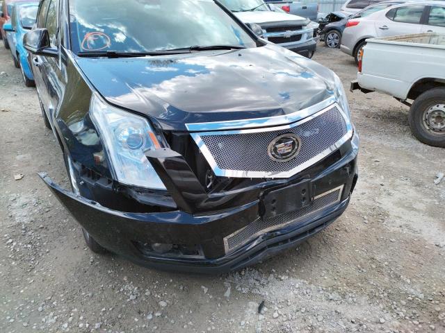 Photo 8 VIN: 3GYFNDE30GS572673 - CADILLAC SRX PREMIU 