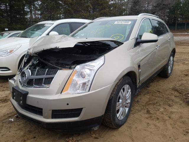 Photo 1 VIN: 3GYFNDE31CS568237 - CADILLAC SRX LUXURY 