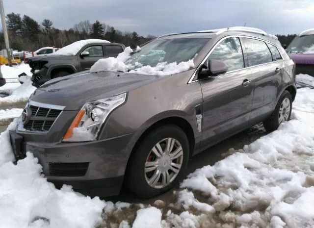 Photo 1 VIN: 3GYFNDE32CS567355 - CADILLAC SRX 