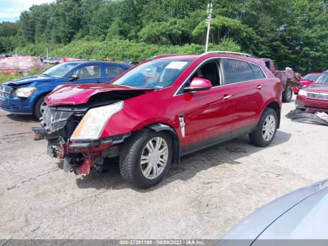 Photo 1 VIN: 3GYFNDE32CS621267 - CADILLAC SRX 