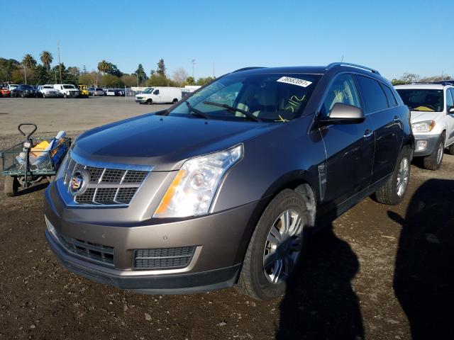 Photo 1 VIN: 3GYFNDE33CS530671 - CADILLAC SRX LUXURY 