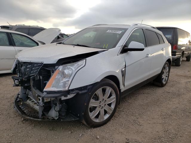 Photo 1 VIN: 3GYFNDE33GS562459 - CADILLAC SRX PREMIU 