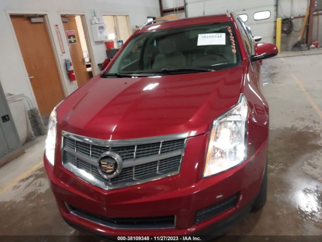 Photo 5 VIN: 3GYFNDE34CS523406 - CADILLAC SRX 