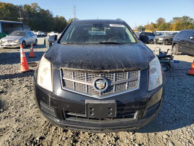 Photo 4 VIN: 3GYFNDE34CS576669 - CADILLAC SRX LUXURY 