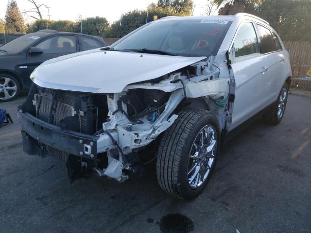 Photo 1 VIN: 3GYFNDE34DS566693 - CADILLAC SRX PERFOR 