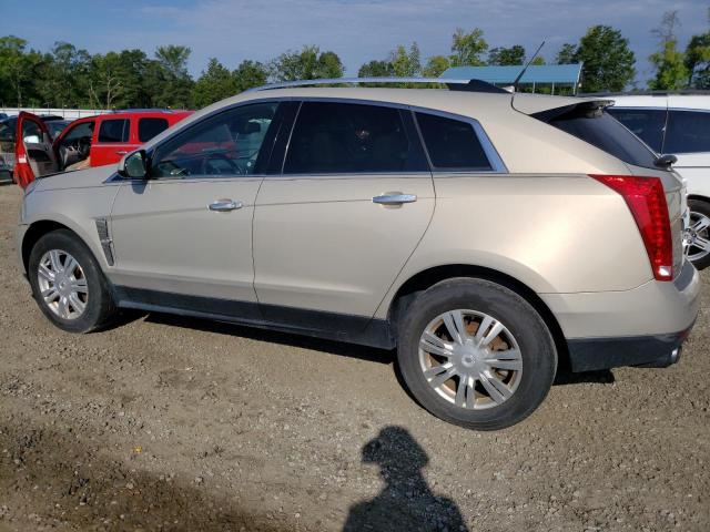 Photo 1 VIN: 3GYFNDE35CS508705 - CADILLAC SRX 