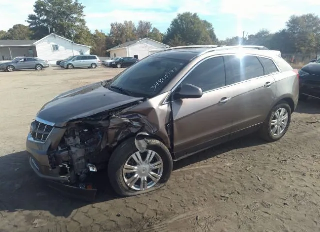 Photo 1 VIN: 3GYFNDE35CS534088 - CADILLAC SRX 