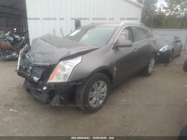 Photo 1 VIN: 3GYFNDE35CS556897 - CADILLAC SRX 