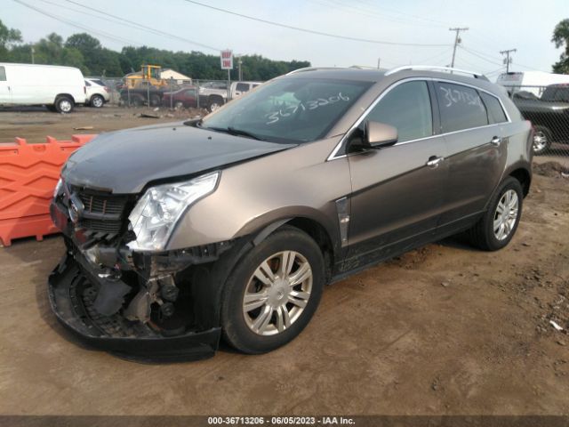 Photo 1 VIN: 3GYFNDE35CS571013 - CADILLAC SRX 