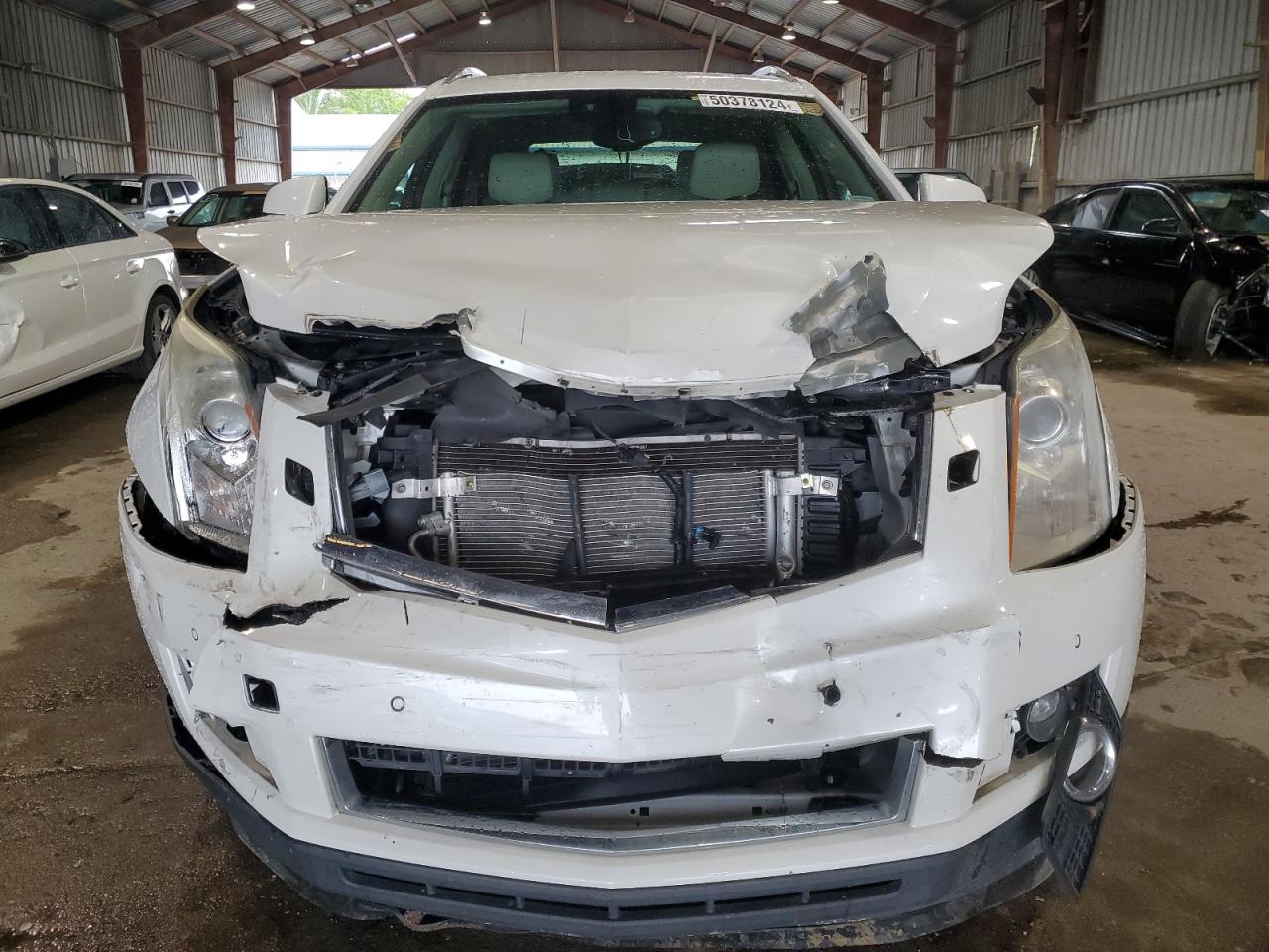 Photo 4 VIN: 3GYFNDE35DS649534 - CADILLAC SRX 