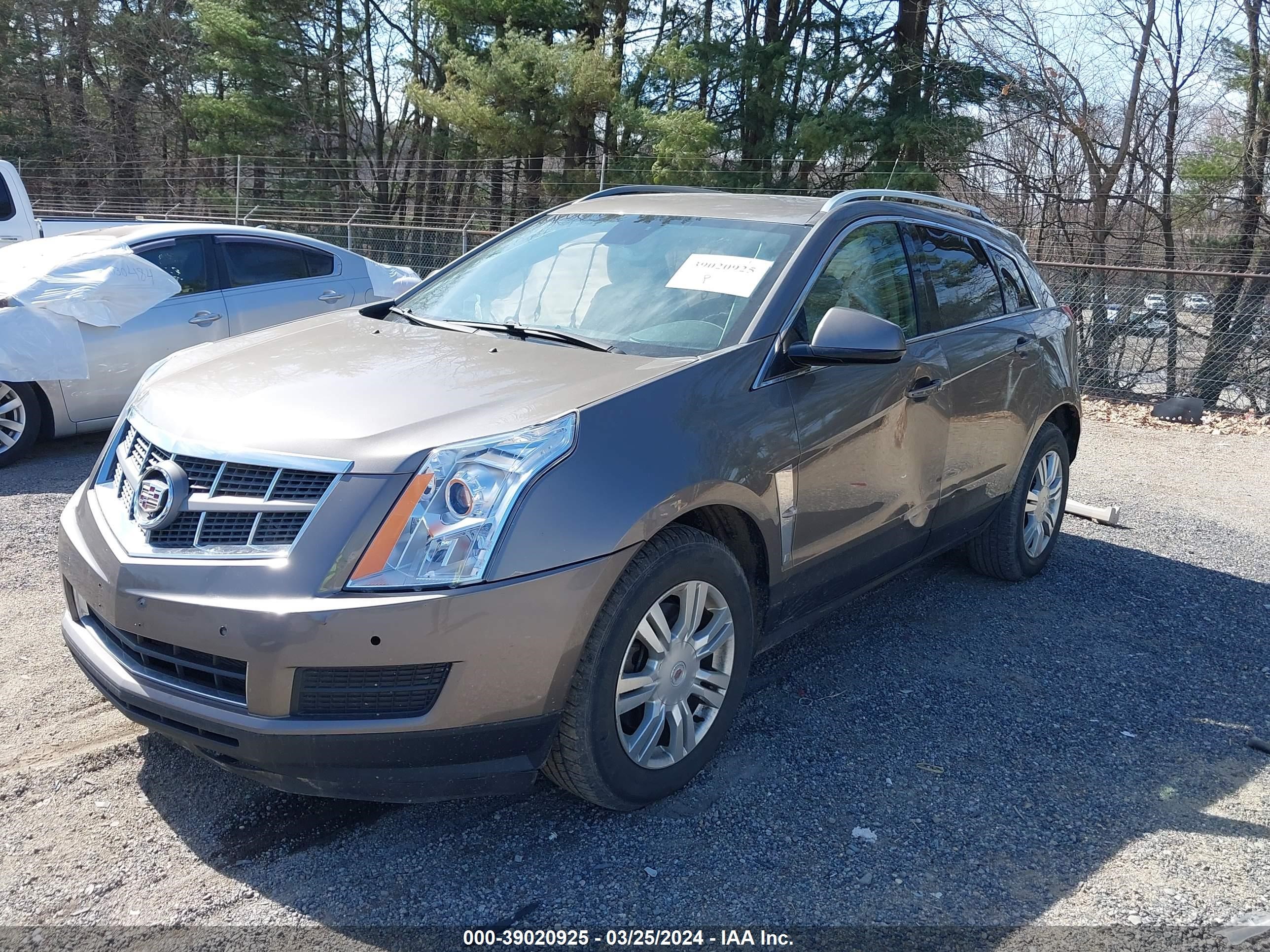 Photo 1 VIN: 3GYFNDE36CS550543 - CADILLAC SRX 