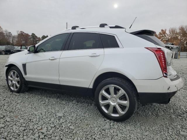 Photo 1 VIN: 3GYFNDE37DS543828 - CADILLAC SRX 