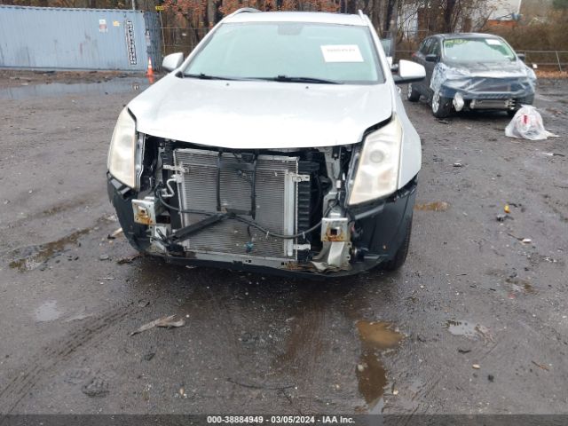 Photo 5 VIN: 3GYFNDE38CS504681 - CADILLAC SRX 