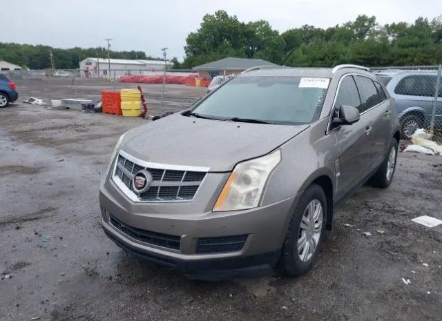 Photo 1 VIN: 3GYFNDE38CS519147 - CADILLAC SRX 