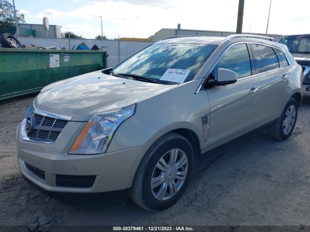 Photo 1 VIN: 3GYFNDE38CS524218 - CADILLAC SRX 