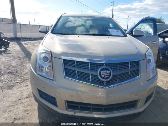 Photo 5 VIN: 3GYFNDE38CS524218 - CADILLAC SRX 