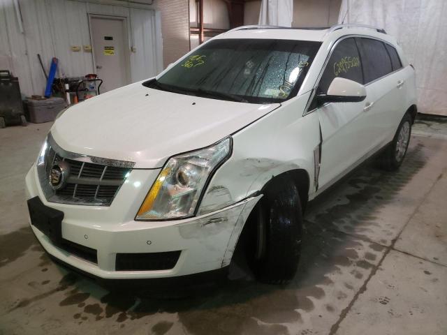 Photo 1 VIN: 3GYFNDE38CS541083 - CADILLAC SRX LUXURY 