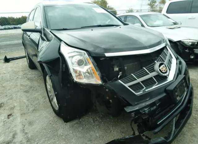 Photo 5 VIN: 3GYFNDE38CS602819 - CADILLAC SRX 