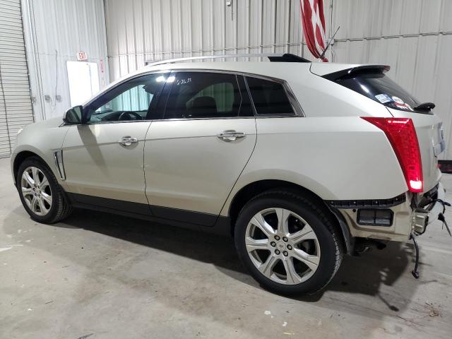 Photo 1 VIN: 3GYFNDE38DS562419 - CADILLAC SRX PERFOR 