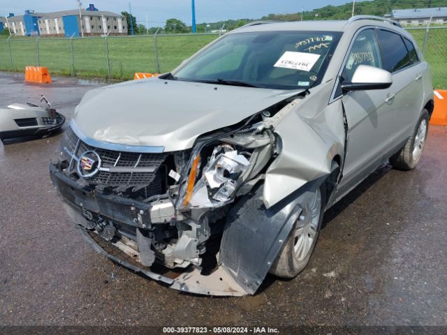 Photo 5 VIN: 3GYFNDE3XCF560105 - CADILLAC SRX 