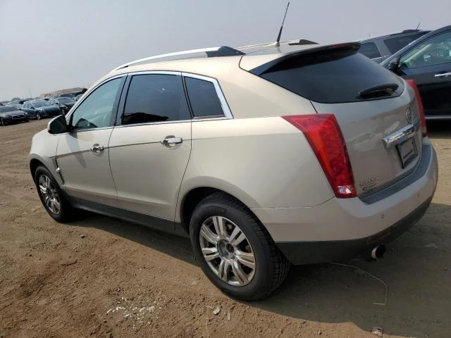 Photo 1 VIN: 3GYFNDEY0AS500553 - CADILLAC SRX LUXURY 