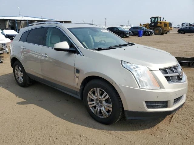 Photo 3 VIN: 3GYFNDEY0AS500553 - CADILLAC SRX LUXURY 