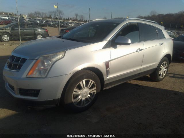 Photo 1 VIN: 3GYFNDEY0AS508619 - CADILLAC SRX 