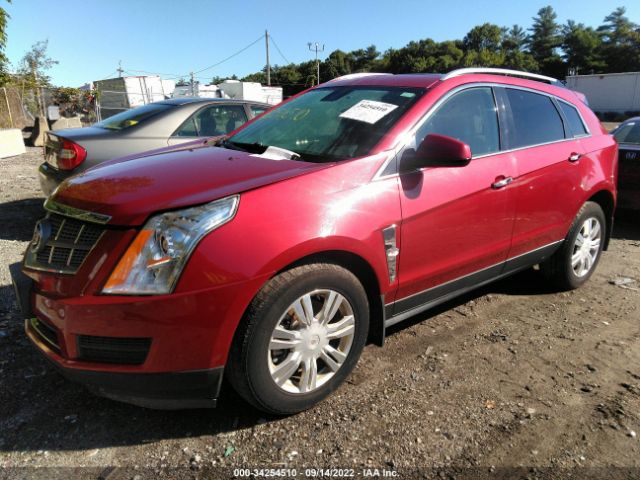 Photo 1 VIN: 3GYFNDEY0AS545492 - CADILLAC SRX 